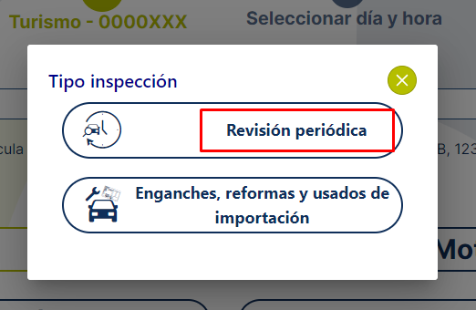 tipo de inspección de vehículo